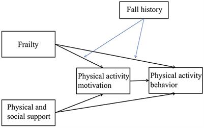 Determinants of physical activity behavior among older adults with subjective cognitive decline based on the capability, opportunity, motivation, and behavior model: mediating and moderating effects